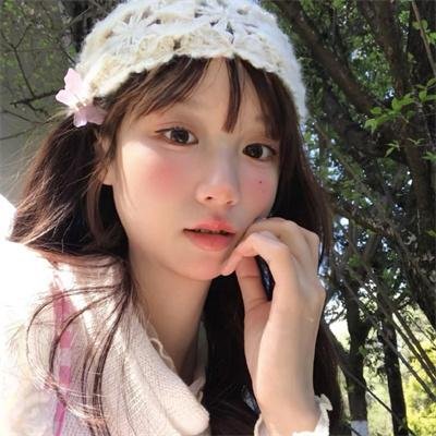 鸟儿们的奇幻冒险