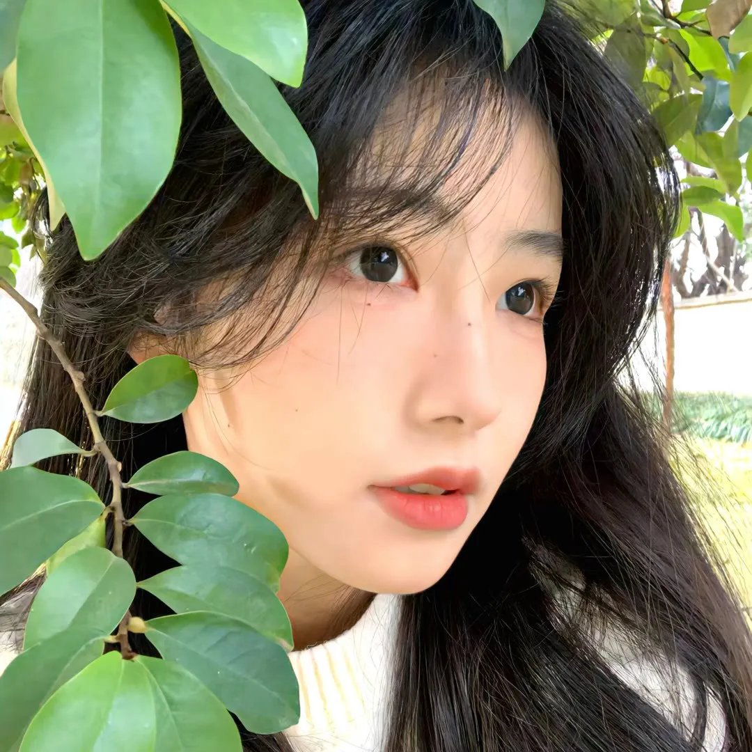 莲花闹海棠